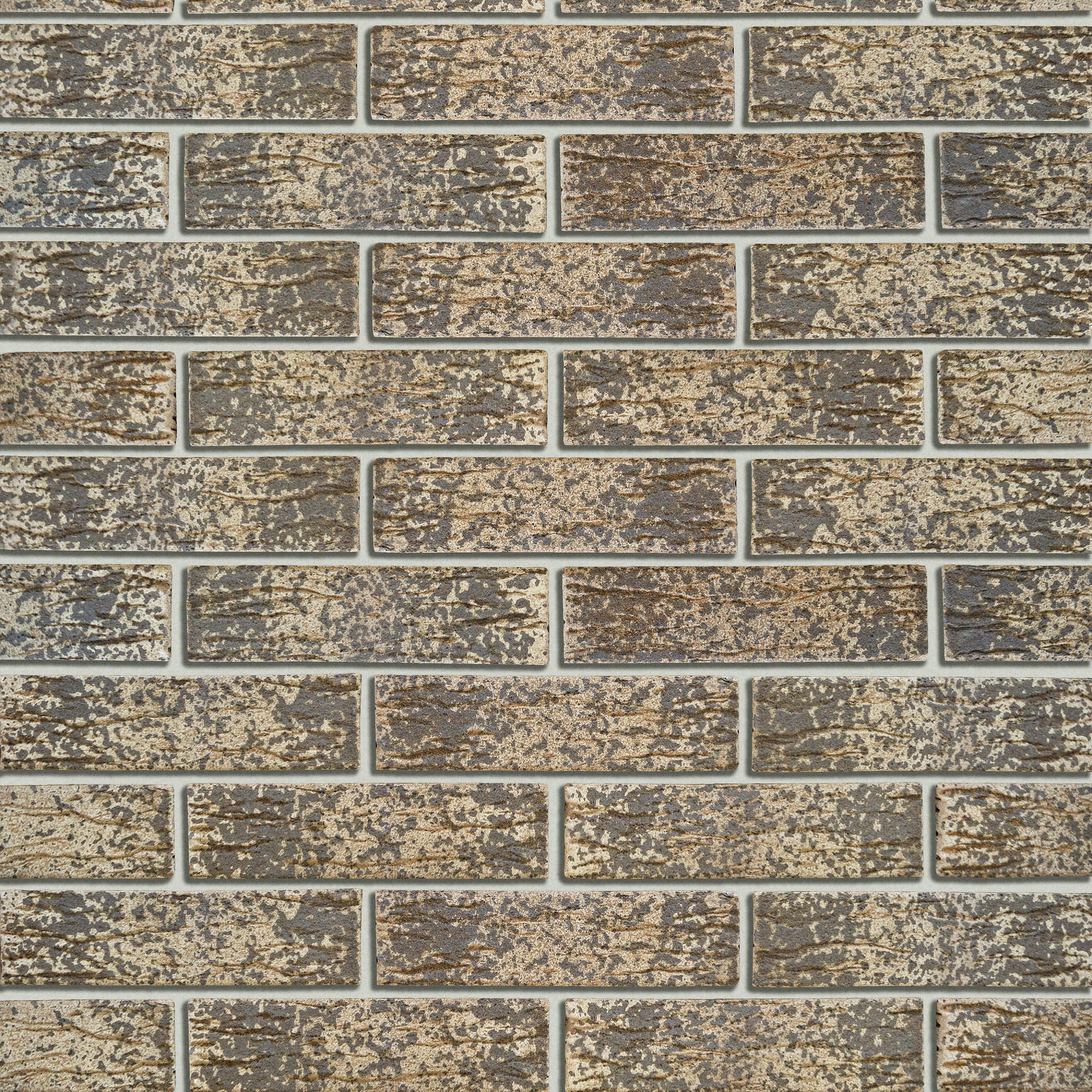 Кротовский Вестон 1НФ